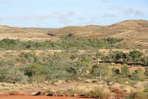 outback, zdalny, nullangina, Natura, krajobraz, dzień, scenics, Góra, żadnych ludzi, roślina, scenics - natura, środowisko, niebo, spokojna scena, spokój, drzewo, piękno natury, wylądować, scena pozamiejska, wzrost, pole, na dworze, chmura - niebo, suchy klimat, 2K, CC0, domena publiczna, darmowe zdjęcia