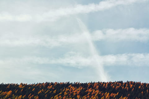 gul, grønn, trær, skyer, dagslys, falle, skog, hd bakgrunnsbilde, natur, utendørs, himmel, skogen, anlegg, skjønnhet i naturen, sky - himmel, miljø, tre, ingen folk, naturskjønnhet - natur, land, dag, landskap, ikke-urbane scene, rolig scene, idylliske, felt, vekst, ro, regnbue, kraft i naturen, 5K, CC0, offentlig domene, opphavsrett gratis