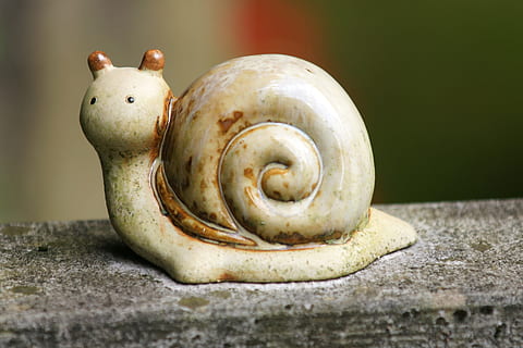hlemýžď, postava, shell, plazit se, deco, dekorace, sochařství, zahrada, detail, nikdo, uvnitř, zastoupení, stálý život, zvíře, umění a řemesla, jeden objekt, studio shot, jídlo, zvířat, dva objekty, pevný, selektivní zaměření, jídlo a pití, tvořivost, starý, svěžest, zeleniny, 2K, CC0, veřejná doména, bez autorských práv