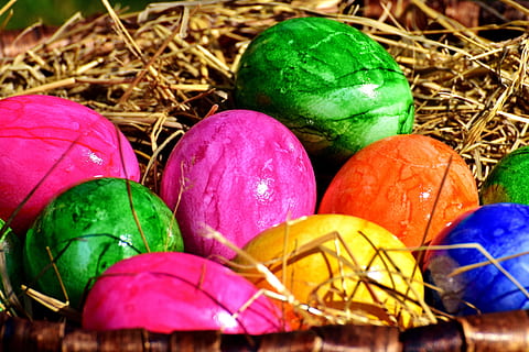 uovo, colorato, Pasqua, uova di Pasqua, nido di Pasqua, buona Pasqua, uova colorate, uova sode, uova di Pasqua tinte, cibo, uovo di Pasqua, multicolore, cibo e bevande, avvicinamento, celebrazione, nessuno, natura morta, vacanza, arte e artigianato, colore verde, gruppo di oggetti, uovo animale, religione, vacanza - evento, 5K, CC0, dominio pubblico, privo di copyright