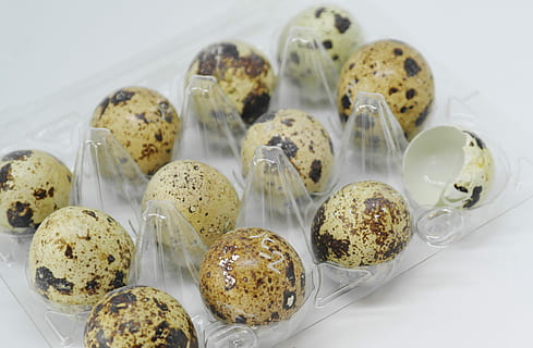 Wachtelei viel, Ei, Wachtelei, Schale, roh, Essen, Lebensmittel, Eiweiß, Eigelb, Frühstück, Gourmet, Koch, Ostern, schließen, gesund, Küche, Cholesterin, Bohnenkraut, Dessert, Erfrischung, Mahlzeit Essen, Hintergrund, Verpackung, Kunststoff, Karton, Verpackungsmaterial, Struktur, Essen und Trinken, Frische, Stillleben, drinnen, fertig für den Verzehr, Nahansicht, Wohlbefinden, keine Leute, Süßes Essen, gebacken, Genuss, Süss, High Angle View, gesundes Essen, Serviergröße, weißer Hintergrund, Versuchung, große gruppe von gegenständen, Snack, 4K, CC0, gemeinfrei, lizenzfrei