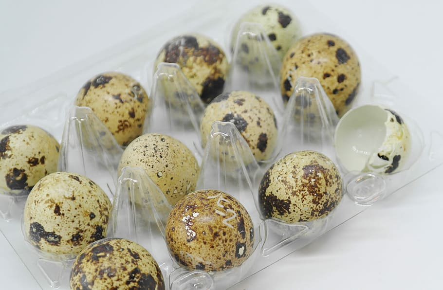 ous de guatlla molt, ou, ous de guatlla, shell, crua, menjar, proteïna, rovell, esmorzar, gourmet, cuinar, Pasqua, tancar, saludable, cuina, colesterol, saborós, postres, refresc, menjar per menjar, fons, envasos, plàstic, cartró, material d’embalatge, estructura, menjar i beguda, frescor, natura morta, a l'interior, llest per menjar, primer pla, benestar, cap gent, menjar dolç, al forn, indulgència, dolç, vista d’angle alt, alimentació saludable, mida de la porció, fons blanc, temptació, gran grup d'objectes, berenar, 4K