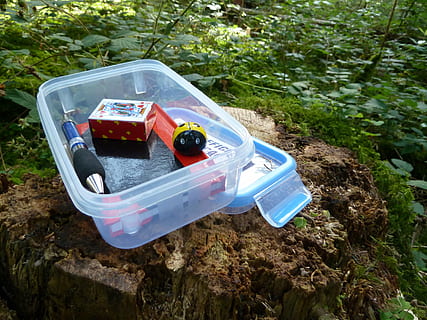 plastic container, wood stamp, geocache, geocaching, cache, small, logbook, hiding place, search, to find, adventure, coordinates, play, box, treasure hunt, tree stump, plant, day, high angle view, no people, nature, land, outdoors, mode of transportation, container, field, sunlight, transportation, growth, plastic, front or back yard, toy, close-up, abandoned, tree, bottle, wheel, 4K, CC0, public domain, royalty free