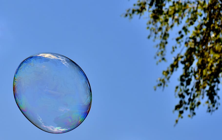 bombolla de sabó, enorme, gran, fer bombolles de sabó, wabbelig, iridescent, aigua sabonosa, diversió, volar, colorit, arbre, cel, cel clar, cap gent, naturalesa, blau, bombolla, transparent, fragilitat, vulnerabilitat, a l'aire, esfera, centrar-se en primer pla, reflexió, primer pla, vista d’angle baix, planta, a l'aire lliure, dia, sabó sud, 2K