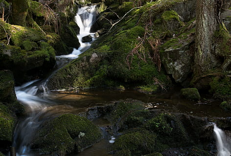 stroom, rivier-, water, bos, water, Bos, de aard van de, groen, waterval, stromend water, lange blootstelling, beweging, rots, rock - object, solide, schoonheid in de natuur, boom, scenics - natuur, fabriek, wazig beweging, natuur, land-, mos, geen mensen, stroom - stromend water, vloeiende, buitenshuis, kracht in de natuur, vallend water, regenwoud, 5K, CC0, publiek domein, royaltyvrij
