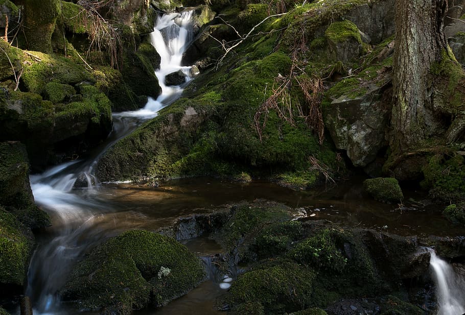 stroom, rivier-, water, bos, water, Bos, de aard van de, groen, waterval, stromend water, lange blootstelling, beweging, rots, rock - object, solide, schoonheid in de natuur, boom, scenics - natuur, fabriek, wazig beweging, natuur, land-, mos, geen mensen, stroom - stromend water, vloeiende, buitenshuis, kracht in de natuur, vallend water, regenwoud, 5K