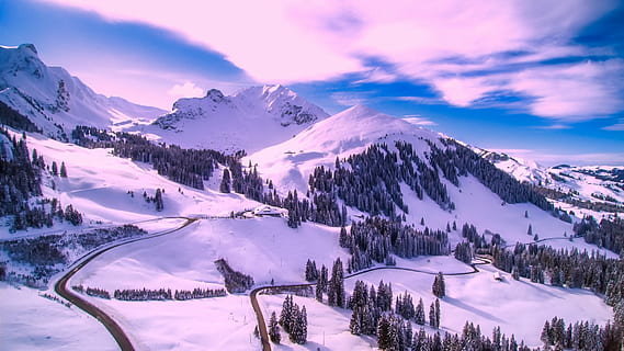 pájaro, fotografía de ojos, arboles, rodeando, nieve, invierno, cielo, nubes, paisaje, escénico, bosque, montañas, naturaleza, al aire libre, país, rural, desierto, hdr, temperatura fría, montaña, árbol, scenics, la carretera, nube - cielo, paisajes - naturaleza, belleza en la naturaleza, ambiente, Montaña cubierta de nieve, tierra, cordillera, nadie, planta, tranquilidad, pico de la montaña, árbol conífero, Pino, 1080P, CC0, dominio público, libre de derechos