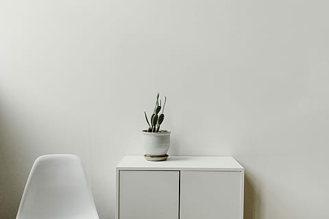 verde, pianta, bianca, Consiglio dei ministri, grigio, ceramica, vaso, di legno, arredamento, sedia, eames, tavolo, in casa, copia spazio, pianta in vaso, nessuno, Colore bianco, natura, crescita, girato in studio, caratteristica della parete, mobilia, interno di casa, semplicità, colore verde, stanza domestica, foglia, parte vegetale, pianta della casa, vaso di fiori, 5K, CC0, dominio pubblico, privo di copyright