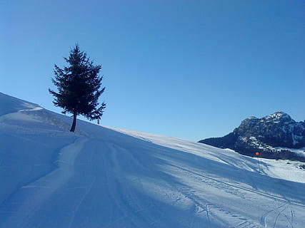 snow, ski, mountain, winter, alps, landscape, sky, france, nature, track, snowy, cold temperature, beauty in nature, tree, blue, tranquil scene, tranquility, clear sky, copy space, plant, day, environment, scenics - nature, no people, snowcapped mountain, coniferous tree, 1080P, CC0, public domain, royalty free