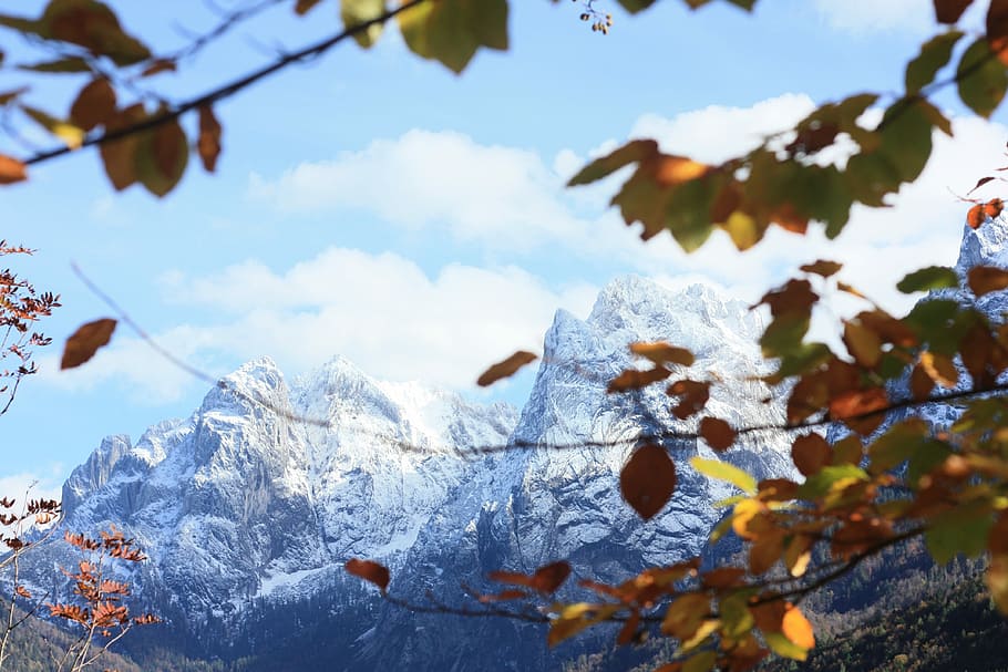 Kaiser més salvatge, negre, muntanya, neu, durant el dia, tardor, caure, taronja, blanc, naturalesa, Austràlia, Serra, austrium, kaisertal, alp, bellesa a la natura, planta, cel, temperatura de fred, arbre, hivern, cap gent, dia, tranquil·litat, núvol - cel, escenics - natura, full, centrar-se en primer pla, part de la planta, escena tranquil·la, vista d’angle baix, a l'aire lliure, muntanya nevada, canvi, fulles, 4K