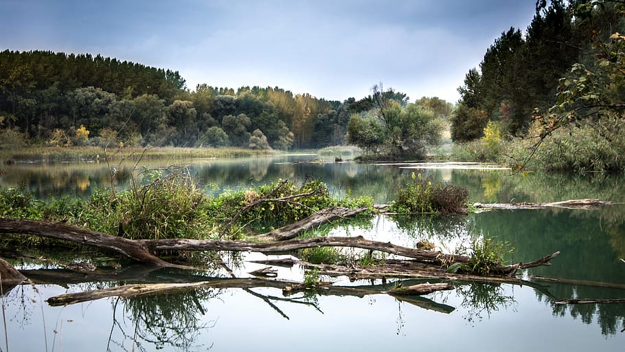 paisatge, naturalesa, cel, aigua, tardor, la llum del dia, brut, caure, boira, bosc, herba, nebulós, hdr, idíl·lic, tèrbol, a l'aire lliure, reflexió, riu, escènic, viatjar, arbres, boscos, imatges de domini públic, arbre, llac, tranquil·litat, planta, bellesa a la natura, escenics - natura, escena tranquil·la, cap gent, escena no urbana, dia, núvol - cel, destinacions de viatge, llac de reflexió, bosc de pi, pantà, 4K