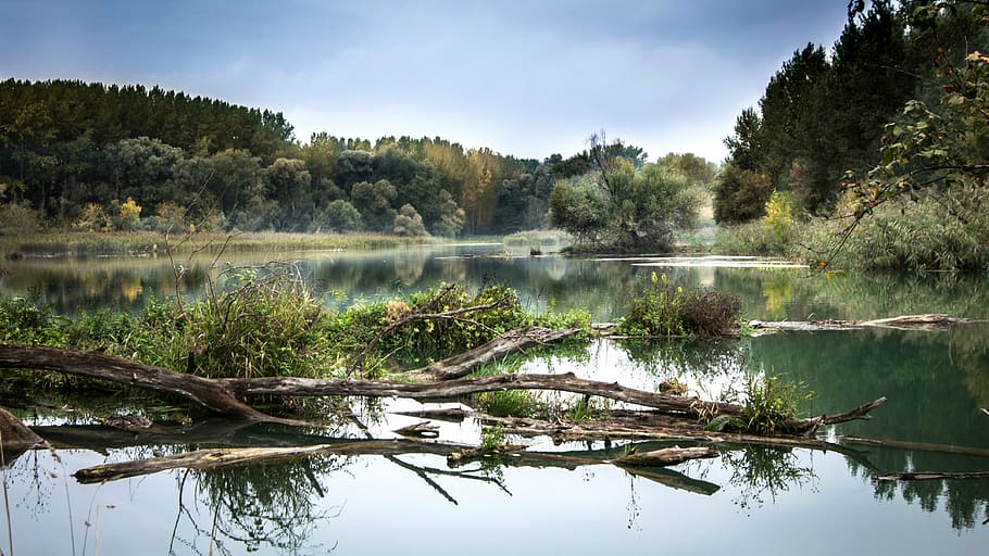 verd, arbres, cos, aigua, riu, el Danubi, boira, reflexió, Eslovàquia, naturalesa, paisatge, luhy, conca fluvial, romanç, tardor, braç del riu, bosc de la plana inundable, octubre, arbre, llac, a l'aire lliure, aigua estancada, cap gent, pantà, dia, planta, tranquil·litat, bellesa a la natura, escenics - natura, escena tranquil·la, cel, bosc, escena no urbana, núvol - cel, destinacions de viatge, llac de reflexió, bosc de pi, 4K