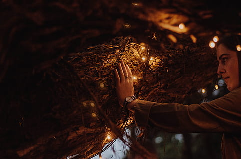 คน, การสวมใส่, สีดำ, ขาว, ดู, ประทับใจ, สีน้ำตาล, พื้นผิว, ไฟสตริง, เคสสีขาว, ลำต้นของต้นไม้, เชือก, ไฟ, เบา, มือ, ต้นไม้, นางฟ้าแสง, ผู้ชาย, คนคนหนึ่ง, ผู้ปฏิบัติงานด้วยตนเอง, ชายคนหนึ่งเท่านั้น, ผู้ใหญ่เท่านั้น, ผู้ชายเท่านั้น, กลางคืน, ผู้ใหญ่, ส่องสว่าง, มุมมองด้านข้าง, อุปกรณ์ให้แสงสว่าง, คนจริง, ในบ้าน, กิจกรรมยามว่าง, ที่เร่าร้อน, คนหนุ่มสาว, ผู้ใหญ่ตอนกลาง, ธรรมชาติ, ชายหนุ่ม, โฮลดิ้ง, ไม้ - วัสดุ, เสื้อผ้าลำลอง, 4K
