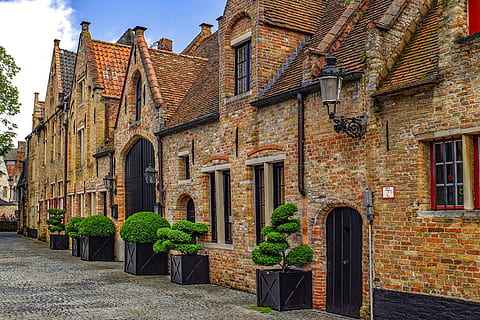 hijau, tanaman daun, hitam, kayu, kotak, bangunan, rumah, fasad, bata, Arsitektur, pengukur, brugge, Belgium, flander, eropa, struktur yang dibangun, eksterior bangunan, jendela, hari, alam, tidak ada orang, lengkungan, menanam, kota, masa lalu, jalan masuk, sejarah, jalan, distrik perumahan, tanaman di dalam pot, pintu, dinding, di luar rumah, 4K, CC0, domain publik, bebas royalti