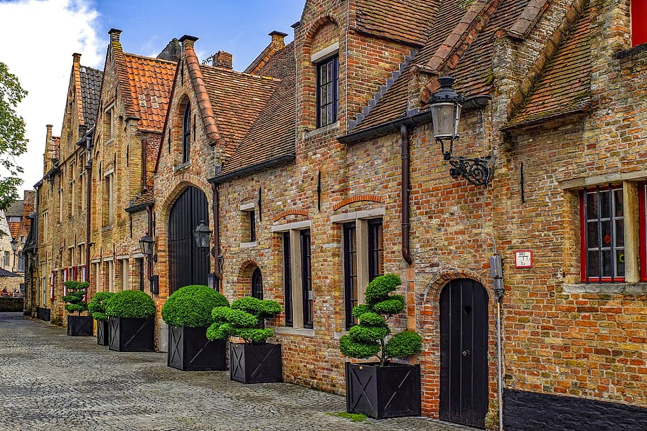 hijau, tanaman daun, hitam, kayu, kotak, bangunan, rumah, fasad, bata, Arsitektur, pengukur, brugge, Belgium, flander, eropa, struktur yang dibangun, eksterior bangunan, jendela, hari, alam, tidak ada orang, lengkungan, menanam, kota, masa lalu, jalan masuk, sejarah, jalan, distrik perumahan, tanaman di dalam pot, pintu, dinding, di luar rumah, 4K