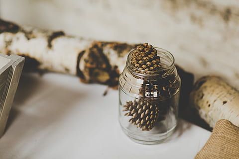 pinyes, clar, gerro de vidre, fotografia macro, pinya de pi, jar, contenidor, naturalesa, coberta protectora, a l'interior, menjar i beguda, primer pla, menjar, natura morta, cap gent, benestar, centrar-se en primer pla, alimentació saludable, enfocament selectiu, tap de suro, frescor, taula, vidre - material, nou, dia, vista d’angle alt, 5K, CC0, domini públic, lliure de regalies