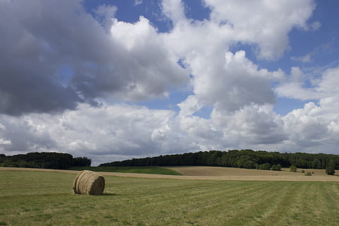 camp, cer, nori, plafon de nori, vară, verde, iarbă, natură, pădure, câmpuri, agricultură, peisaj, nor - cer, teren, balot, mediu inconjurator, rural, scenice - natura, o scenă liniștită, fân, plantă, frumusețe în natură, fermă, zi, liniște, nici o persoana, copac, în aer liber, 4K, CC0, domeniu public, fără drepturi de autor