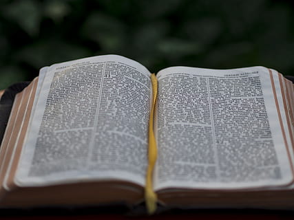 opened, book, bookmark, opened book, bible, scripture, open, reading, literature, education, religion, spirituality, praying, learning, wisdom, no people, close-up, day, book cover, outdoors, publication, selective focus, belief, communication, text, page, paper, still life, indoors, personal accessory, 4K, CC0, public domain, royalty free