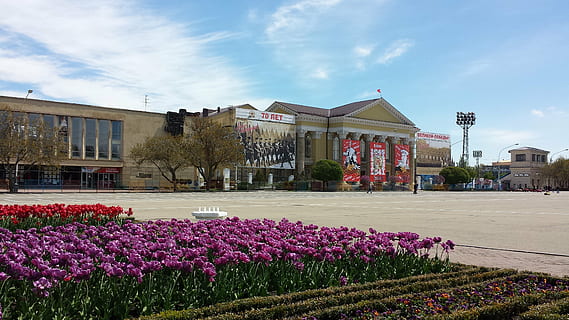 pot, stavropol, flors, planta amb flors, flor, planta, arquitectura, exterior de l'edifici, estructura construïda, naturalesa, cel, bellesa a la natura, edifici, jardí, frescor, creixement, llit de flors, destinacions de viatge, dia, cap gent, ciutat, a l'aire lliure, mansió, porpra, jardí ornamental, 4K, CC0, domini públic, lliure de regalies