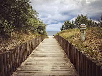braun, hölzern, Weg, Weiß, Wolken, tagsüber, Strand, Netz, strandweg, Meer, Ostsee, Seeblick, Urlaub, Reise, Mehr, Bäume, Gebüsch, Buchse, Sommer-, der Weg nach vorn, Richtung, Pflanze, wolke - himmel, Baum, Natur, Himmel, Holz - Material, Tag, Geländer, Wasser, keine Leute, Fußweg, Ruhe, die Architektur, ruhige Szene, Szenen - Natur, gebaute Struktur, Schönheit in der Natur, abnehmende Perspektive, draußen, lange, 4K, CC0, gemeinfrei, lizenzfrei