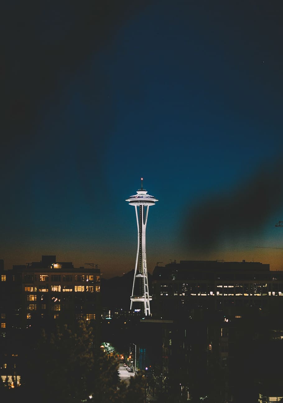 ago spaziale, Seattle, Washington, bianca, alleggerire, grattacielo, ore notturne, buio, notte, costruzione, struttura, città, alberi, strada, luci, cielo, auto, veicolo, architettura, paesaggio urbano, struttura costruita, destinazioni di viaggio, esterno dell'edificio, illuminato, viaggio, natura, Torre, nessuno, alto - alto, turismo, all'aperto, edificio per uffici esterno, 4K