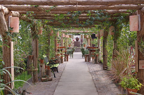 jardí, tranquil, serè, material de fusta, arquitectura, estructura construïda, religió, el camí a seguir, columna arquitectònica, dia, a l'aire lliure, direcció, espiritualitat, planta, creença, naturalesa, lloc de culte, creixement, sendera, vista del darrere, edifici, cap gent, 2K, CC0, domini públic, lliure de regalies