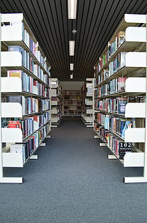 libri, biblioteca, leggere, segnalibri, scaffale, simmetria, formazione scolastica, mensola, libro, pubblicazione, grande gruppo di oggetti, apprendimento, in casa, variazione, letteratura, scelta, abbondanza, architettura, Università, scuola, collezione, la strada davanti, preparativi, costruzione, ordine, studiando, soffitto, corridoio, 5K, CC0, dominio pubblico, privo di copyright