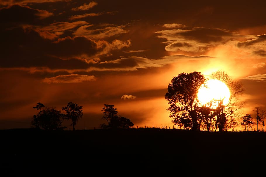 foto de la silueta, arbre, posta de sol, dramàtica, cel taronja, arbre de siluetes, risaralda, santa rosa de cabal, nit, sol gran, cel, núvol - cel, silueta, bellesa a la natura, planta, escenics - natura, tranquil·litat, escena tranquil·la, medi ambient, paisatge, naturalesa, cap gent, terra, color taronja, idíl·lic, cel dramàtic, escena no urbana, camp, a l'aire lliure, fosc, 5K