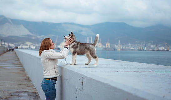 Frau, die Hund streichelt, Säugetier, inländisch, Haustiere, ein Tier, eine Person, Legere Kleidung, Eckzahn, Berg, Hund, Erwachsene, Himmel, Stehen, Frau, Natur, Freizeitbeschäftigung, Wirbeltier, echte Menschen, draußen, 5K, CC0, gemeinfrei, lizenzfrei