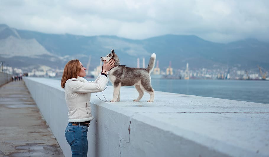 Frau, die Hund streichelt, Säugetier, inländisch, Haustiere, ein Tier, eine Person, Legere Kleidung, Eckzahn, Berg, Hund, Erwachsene, Himmel, Stehen, Frau, Natur, Freizeitbeschäftigung, Wirbeltier, echte Menschen, draußen, 5K
