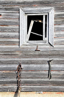 Fenster, Scheune, Bauernhof, rustikal, verwittert, Gebäude, Holz - Material, die Architektur, gebaute Struktur, keine Leute, Gebäudehülle, Tag, Tier, Wirbeltier, Tierthemen, draußen, ein Tier, alt, Reflexion, Muster, Vogel, Haus, Verschluss, 2K, CC0, gemeinfrei, lizenzfrei