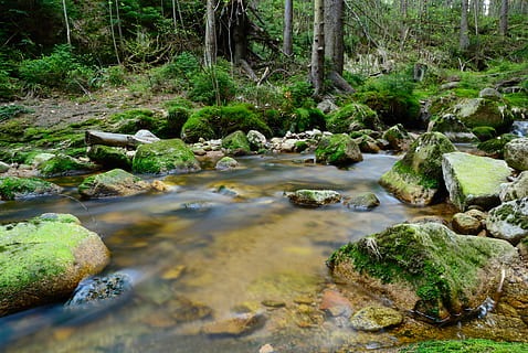 jezioro, oprócz, skały, potok, las, drzewo, krajobraz, Natura, strumień, Zielony, woda, Polska, turystyka, widok, kamienie, sceneria, rzeka, wodospad, rock - obiekt, na dworze, mech, scenics, Płynąca woda, zielony kolor, roślina, wylądować, piękno natury, skała, spokój, solidny, strumień - płynąca woda, scenics - natura, ściąganie, żadnych ludzi, wzrost, spokojna scena, scena pozamiejska, płynący, lesisty teren, płytki, 4K, CC0, domena publiczna, darmowe zdjęcia