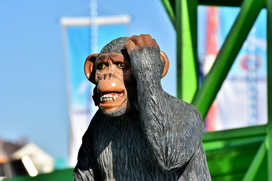 mico, ximpanzé, resum, pensar, escultura, plàstic, deco, decoració, figura, vista, somrient, centrar-se en primer pla, una persona, mascles, dia, emoció, adult gran, adult, retrat, felicitat, gots, art i artesania, cintura cap amunt, homes, dents, somriure dentut, diversió, adult madur, creativitat, a l'aire lliure, 5K
