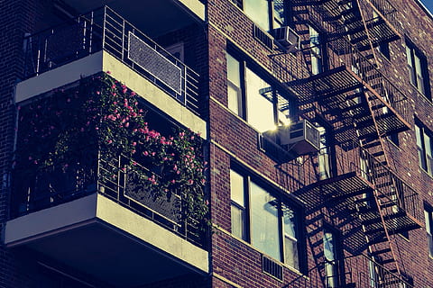 bygning, struktur, arkitektur, væg, glas, vindue, design, aircon, stige, stål, blomst, bygget struktur, bygning udvendig, plante, ingen mennesker, lav vinkel visning, boligområde, dag, udendørs, natur, trappe, by, rækværk, murbygningsfunktion, potteplante, murstens væg, balkon, lejlighed, 2K, CC0, offentligt domæne, royaltyfrie