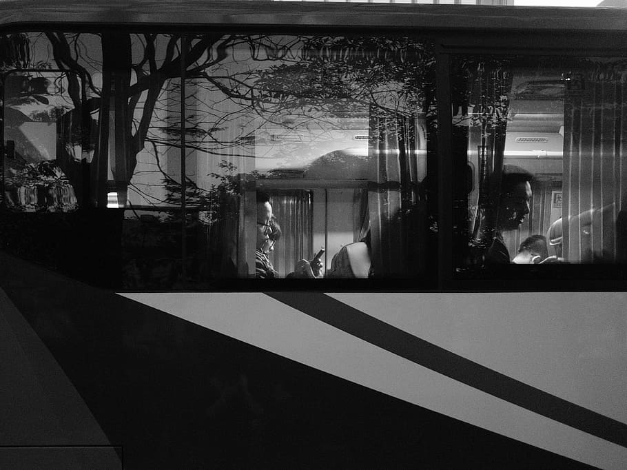 negre, blanc, foto, gent, muntar a cavall, autobús, persones dins del bus, fosc, nit, finestra, vidre, arquitectura, arbre, estructura construïda, planta, vidre - material, reflexió, exterior de l'edifici, transparent, naturalesa, cap gent, dia, ciutat, transport, a l'aire lliure, edifici, manera de transport, llum solar, 4K