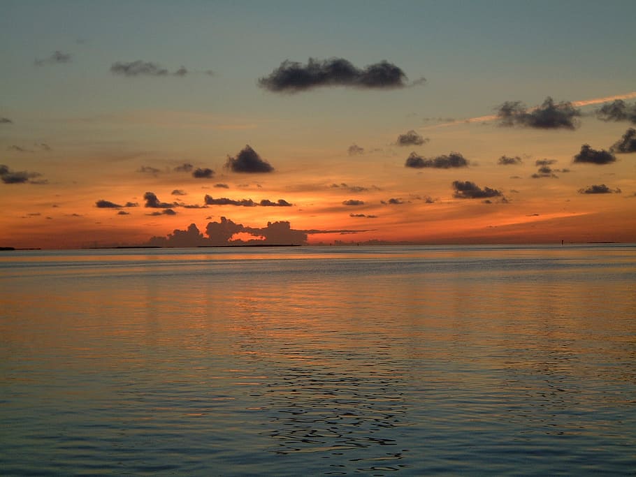 claus de la florida, posta de sol, oceà, tranquil·litat, naturalesa, aigua, bellesa a la natura, cel, escenics - natura, escena tranquil·la, mar, color taronja, idíl·lic, núvol - cel, davant del mar, horitzó, cap gent, escena no urbana, platja, horitzó sobre l’aigua, terra, a l'aire lliure, 1080P