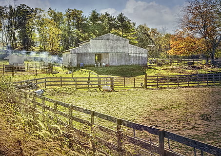 hambar, rustic, hambare, ohio, arta digitala, rural, pitoresc, țară, mediu rural, decor, vărsa, șoproane, fermă, ferme, agricultură, agricol, ținut șes, județ, americana, fotografie, structura, structuri, sturgell, william sturgell, bilet de avion, istoric, decoratiune interioara, clădiri, nori, cer, copac, copaci, noros, buruieni, campia județului, Urbana, plantă, arhitectură, construită, zi, natură, camp, teren, iarbă, nici o persoana, gard, barieră, creştere, limite, exteriorul clădirii, în aer liber, lumina soarelui, clădire, 5K, CC0, domeniu public, fără drepturi de autor