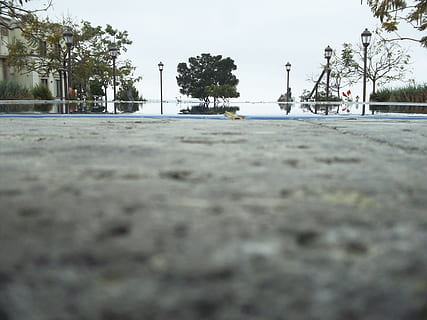 arbre, vora de la piscina, campus, planta, cel, carretera, transport, naturalesa, nivell superficial, carrer, dia, ciutat, centrar-se en fons, cap gent, asfalt, a l'aire lliure, manera de transport, aigua, arquitectura, enfocament selectiu, estructura construïda, terra, 4K, CC0, domini públic, lliure de regalies