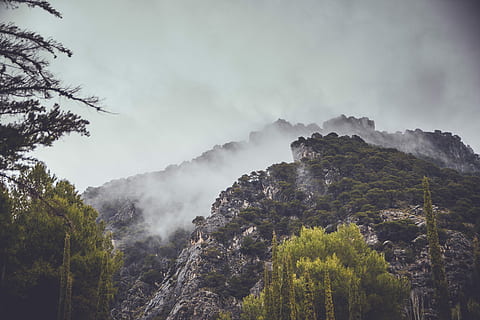 Berg im Nebel, Grün, Waldberg, Nebel, tagsüber, Tapete, Natur, Wolke, Wald, Baum, Pflanze, Schönheit in der Natur, Berg, Szenen - Natur, Himmel, keine Leute, ruhige Szene, Ruhe, Umgebung, wolke - himmel, Land, Landschaft, Nicht-städtische Szene, draußen, Wachstum, Kiefer, Nadelbaum, Kiefernwald, Gipfel, Smog, 5K, CC0, gemeinfrei, lizenzfrei