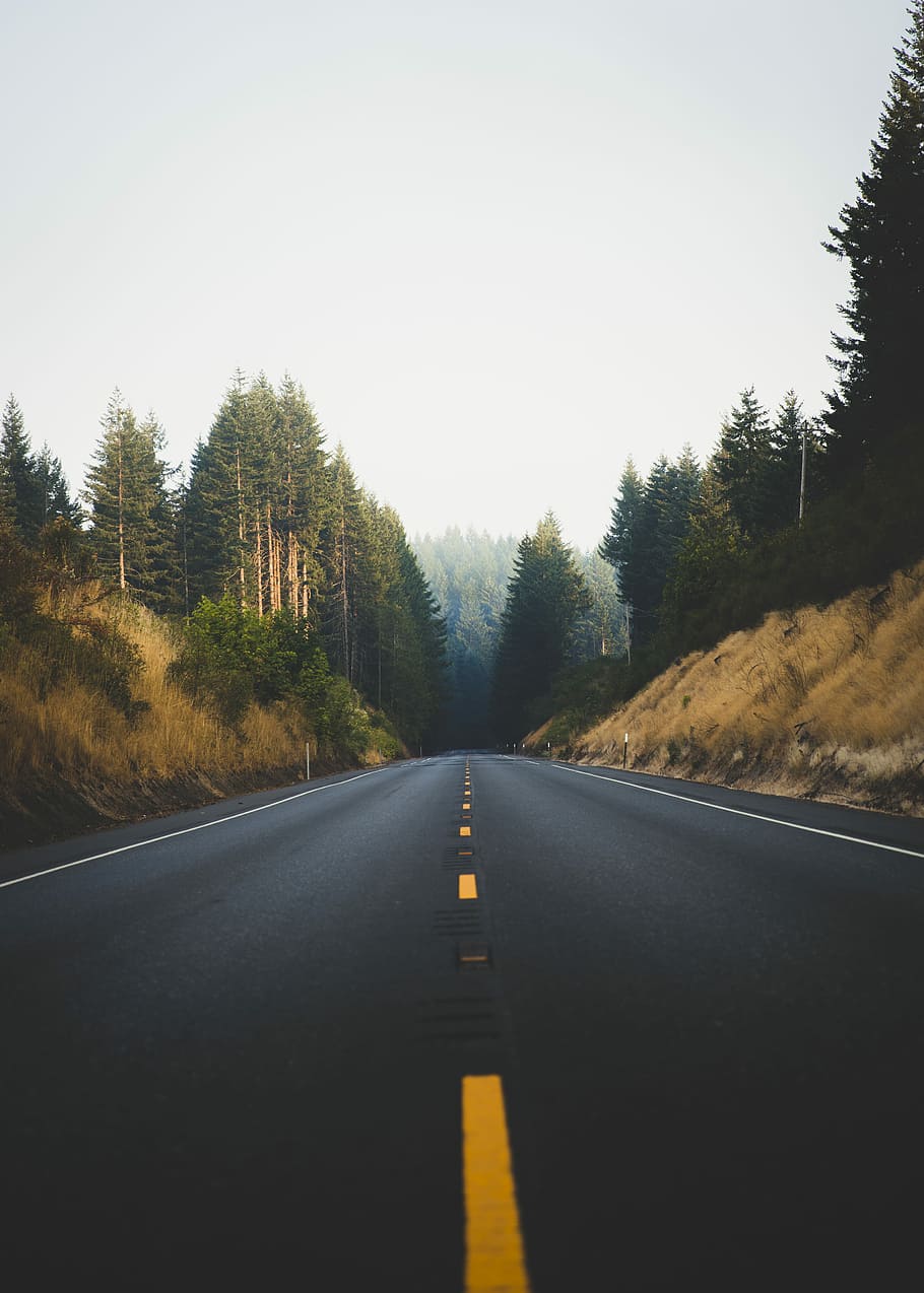 Foto, geleert, pflastern, Straße, Wald, Baum, Landschaft, Himmel, der Weg nach vorn, Richtung, Transport, Pflanze, die Straßenmarkierung, Markierung, abnehmende Perspektive, Zeichen, Symbol, keine Leute, Natur, klarer Himmel, leere Straße, Tag, Fluchtpunkt, Ruhe, ruhige Szene, draußen, Trennlinie, lange, 4K