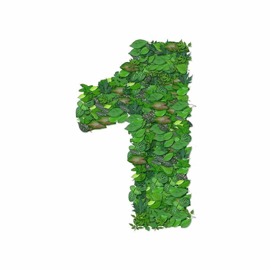 fet, fulles, número 1, 1, dígit, primer, nombre, domini públic, alfabet, naturalesa, mecanografiat, color verd, herba, aïllat, full, planta, símbol, medi ambient, creixement, signe, fons blanc, tir de l'estudi, tallar, menjar i beguda, variació, a l'interior, frescor, menjar, alimentació saludable, cap gent, vegetals, benestar, natura morta, primer pla, còpia espai, verd, part de la planta, aliments crus, 1080P