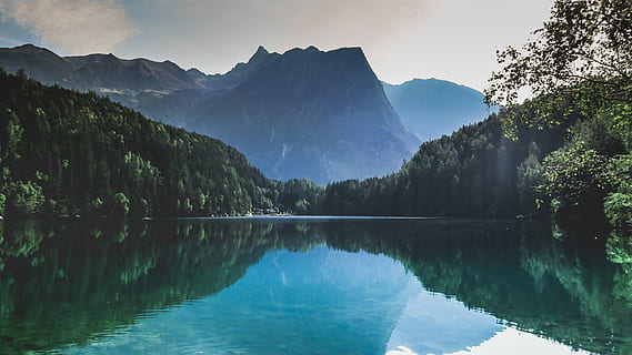 legeme, vand, træer, flod, omgivet, tåger, sø, afspejling, bjerg, Skov, alpine, natur, rejse, opdage, udforske, eventyr, østrig, alp, digital print, minimal, landskabsfotografering, træ, skønhed i naturen, scenics - natur, rolig scene, himmel, ro, plante, bjergkæde, ingen mennesker, symmetri, idyllisk, miljø, landskab, ikke-urbane scene, udendørs, fyrretræ, bjergtop, refleksions søen, fyrreskov, formation, 5K, CC0, offentligt domæne, royaltyfrie