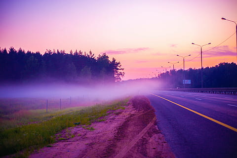 verd, herba, carrer, boira, carretera, mkad, moviment, el camí, naturalesa, estiu, turisme, Rússia, arbres, un buit, al matí, tranquil·litat, dia, llum solar, asfalt, cel, transport, posta de sol, porpra, vespre, a l'aire lliure, arbre, il·luminat, escena rural, escenics, planta, crepuscle, cap gent, paisatge, ciutat, bellesa a la natura, direcció, signe, núvol - cel, color rosa, 5K, CC0, domini públic, lliure de regalies