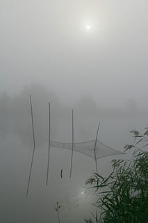 mgła, woda, kabaretki, piękno natury, roślina, Natura, niebo, scenics - natura, spokój, spokojna scena, drzewo, jezioro, żadnych ludzi, scena pozamiejska, dzień, słońce, odbicie, środowisko, na dworze, mglisty, 2K, CC0, domena publiczna, darmowe zdjęcia