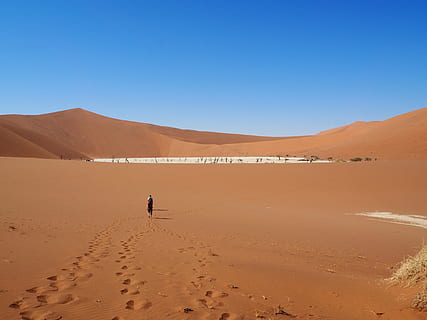 namibia, sossusvlei, gurun, pasir, tanah, scenics - alam, pemandangan, langit, bukit pasir, iklim, iklim kering, lingkungan Hidup, langit cerah, adegan yang tenang, adegan non-urban, alam, keindahan di alam, ketenangan, hari, terpencil, biru, sinar matahari, di luar rumah, 4K, CC0, domain publik, bebas royalti