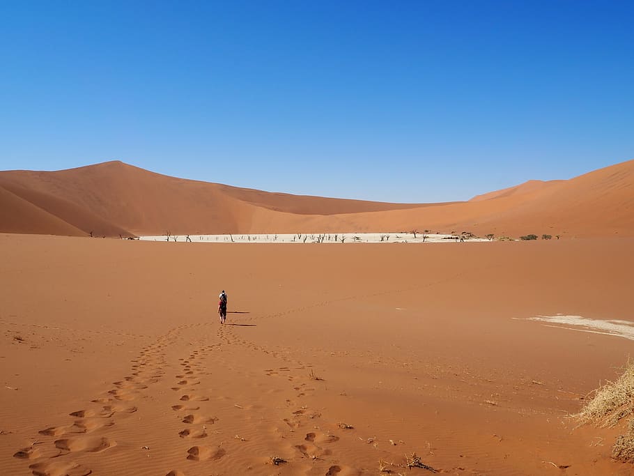 namibia, sossusvlei, desert, sorra, terra, escenics - natura, paisatge, cel, duna de sorra, clima, clima àrid, medi ambient, cel clar, escena tranquil·la, escena no urbana, naturalesa, bellesa a la natura, tranquil·litat, dia, remot, blau, llum solar, a l'aire lliure, 4K
