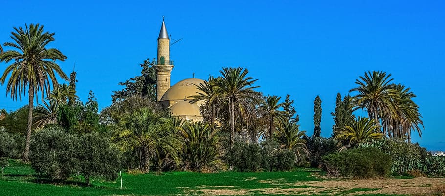 castell, envoltat, verd, arbres, Xipre, larnaca, mesquita, arquitectura, religió, paisatge, palmell, arbre, viatjar, cel, islam, musulmana, otomana, hala sultan tekke, planta, Palmera, destinacions de viatge, lloc de culte, cel clar, clima tropical, naturalesa, blau, creença, estructura construïda, exterior de l'edifici, cap gent, espiritualitat, edifici, herba, a l'aire lliure, fletxa, palmera de coco, 5K