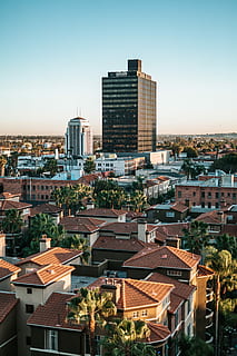 Häuser, Gebäude, tagsüber, schwarz, Hochhaus, neben, Gebäudekomplex, Horizont, Wolkenkratzer, Gebäudehülle, die Architektur, gebaute Struktur, Stadt, Stadtbild, Wohngegend, Himmel, keine Leute, Natur, High Angle View, Bürogebäude außen, klarer Himmel, Dach, Tag, Stadt leben, draußen, Sonnenlicht, modern, Siedlung, 5K, CC0, gemeinfrei, lizenzfrei