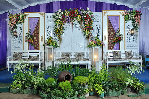 giardino, interno, Java centrale, pianta, fiore, nessuno, giorno, all'aperto, esterno dell'edificio, pianta fiorita, natura, pianta in vaso, crescita, architettura, in casa, decorazione, struttura costruita, freschezza, preparativi, attrezzatura per l'illuminazione, illuminato, bellezza nella natura, parte vegetale, foglia, composizione floreale, mazzo, lampada elettrica, 4K, CC0, dominio pubblico, privo di copyright