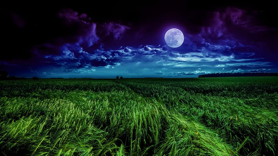 Foto, voll, Mond, Natur, Himmel, Wolke, Landschaft, Land, Feld, Umgebung, wolke - himmel, Pflanze, Vollmond, Nacht-, Szenen - Natur, Astronomie, Schönheit in der Natur, Landwirtschaft, Ruhe, Blau, Ernte, Platz, Dämmerung, keine Leute, draußen, dunkel, Mondlicht, lila, 4K